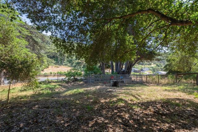 143 Tucker Road, Royal Oaks CA: https://media.crmls.org/mediaz/ec1b1f81-03d3-4943-b920-82c9383cfe50.jpg