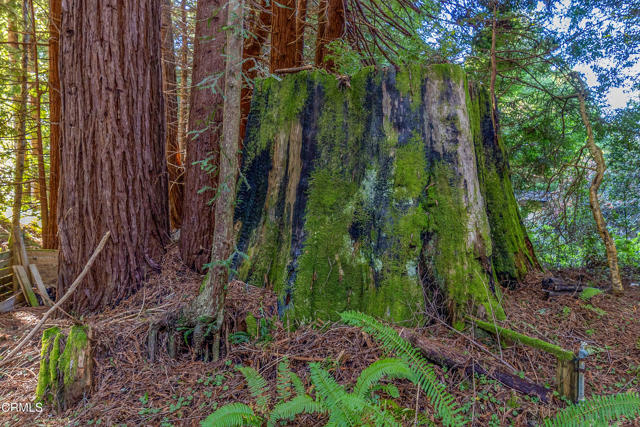 Detail Gallery Image 10 of 12 For 44720 Jack Peters Creek Rd, Mendocino,  CA 95460 - 3 Beds | 2 Baths