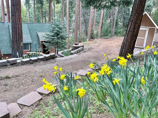 Detail Gallery Image 2 of 48 For 32811 Birch Hill Rd, Palomar Mountain,  CA 92060 - 2 Beds | 1 Baths