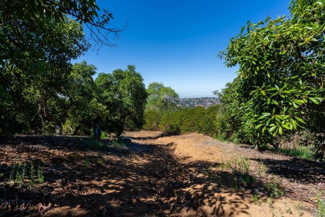 0 Wilt Road, Fallbrook CA: https://media.crmls.org/mediaz/ec249ee5-d765-4383-a84a-f5bc25dcbbac.jpg