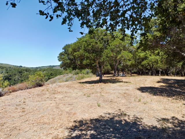 4 Holding Field Run, Carmel CA: https://media.crmls.org/mediaz/ec30aeaf-6f97-4494-8dbe-a52f723905bd.jpg