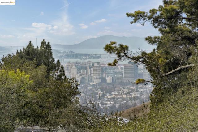 Image 14 of 60 For 12055 Skyline Blvd