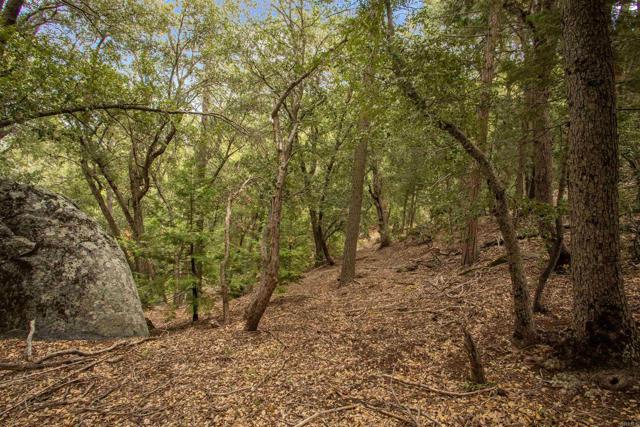 Detail Gallery Image 29 of 36 For 21932 Crestline Rd, Palomar Mountain,  CA 92060 - 1 Beds | 1 Baths