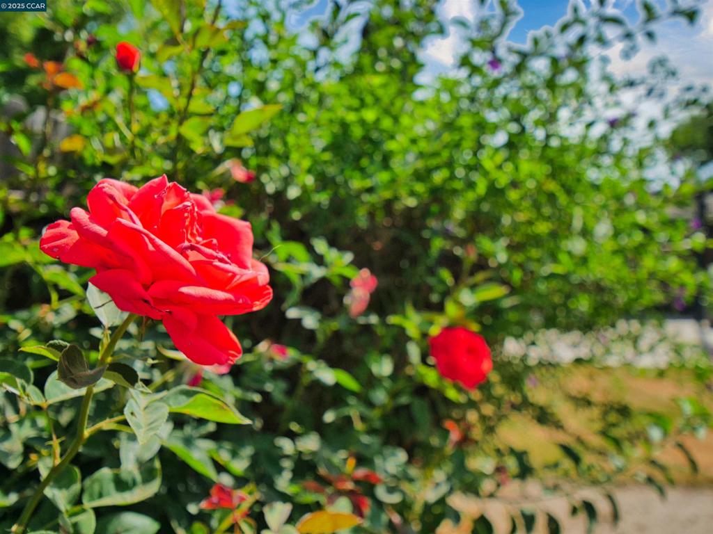 https://media.crmls.org/mediaz/ec40b877-111a-4528-8ee1-21576ee96593.jpg?preset=X-Large