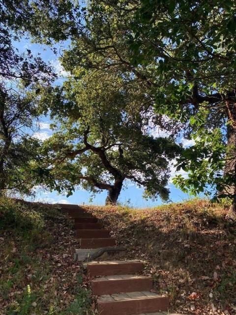 37783 Palo Colorado Road, Carmel CA: https://media.crmls.org/mediaz/ec432a7c-cf6d-4fb4-b262-63264d336910.jpg
