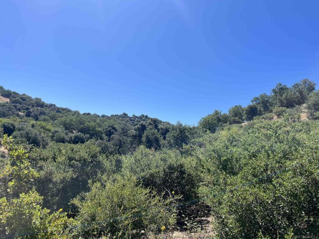 3890 Eagle Ridge, Julian CA: https://media.crmls.org/mediaz/ec4830a3-fa57-492e-b2c2-72ef1df369fc.jpg