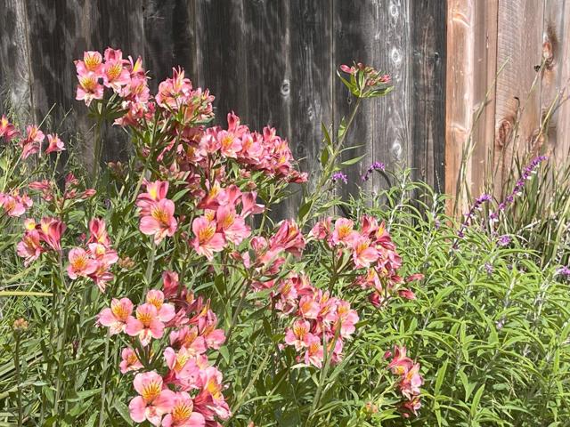 30 Elena Road, La Selva Beach CA: https://media.crmls.org/mediaz/ec48bb69-f065-44a6-a4ef-2733c0673799.jpg