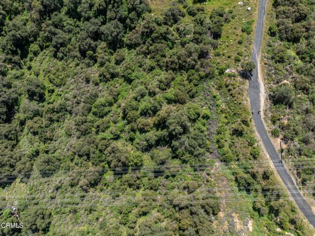 Detail Gallery Image 38 of 44 For 4700 Rising Hill Rd, Altadena,  CA 91001 - – Beds | – Baths