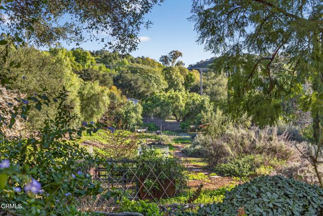 Detail Gallery Image 6 of 51 For 165 Feliz Dr, Oak View,  CA 93022 - 4 Beds | 2 Baths