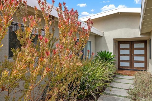 2104 Crownhill Road, San Diego CA: https://media.crmls.org/mediaz/ec5c8784-05de-4004-8392-69e34a6f49f3.jpg