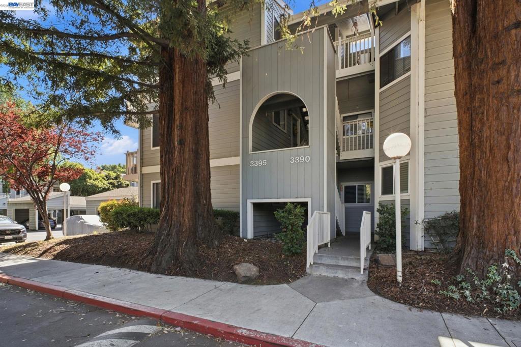 3395 Pinewood Ter #304