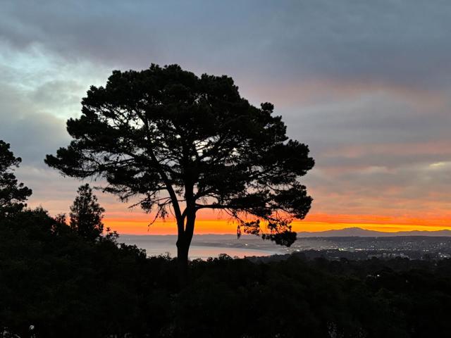 1105 Golden Oaks Lane, Monterey CA: https://media.crmls.org/mediaz/ec66135f-291e-44ab-99f3-6d385ba5dbd5.jpg