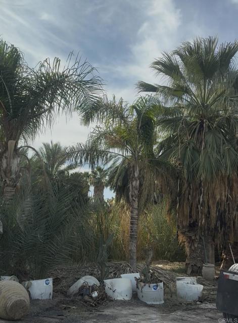 Image 4 of 31 For 2310 Highway 86 Road