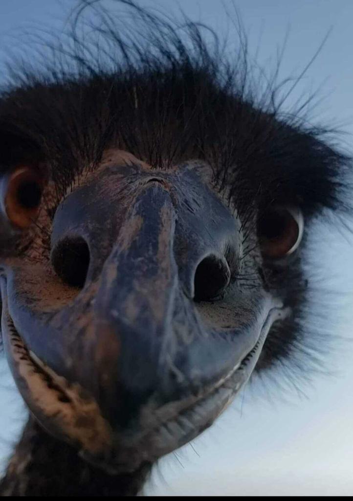 MLS #219138603PS image #17