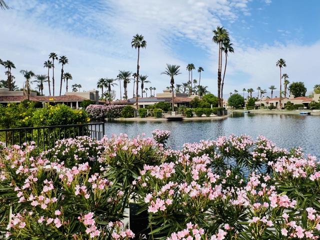 165 Lake Shore Drive, Rancho Mirage CA: https://media.crmls.org/mediaz/ec95629f-2ffd-4990-958b-14abadda29e8.jpg