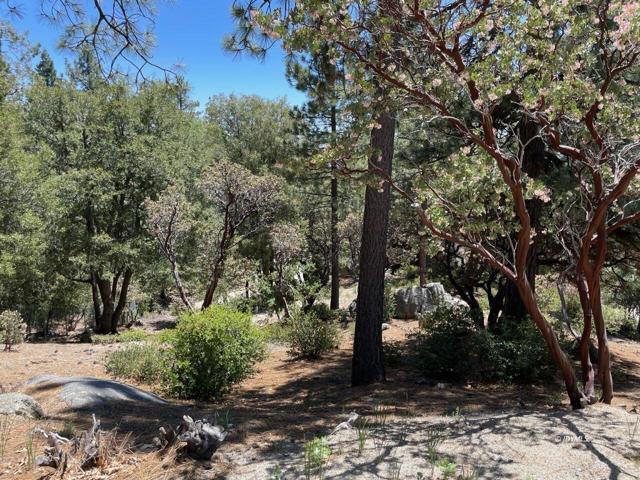 0 Northridge, Idyllwild CA: https://media.crmls.org/mediaz/ec9c9f45-9961-4a7d-b74e-e183189841b8.jpg