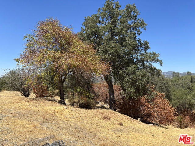 31229 Rolling Meadow Court, Coarsegold CA: https://media.crmls.org/mediaz/eca82616-e738-40d5-8442-e6a61834aada.jpg