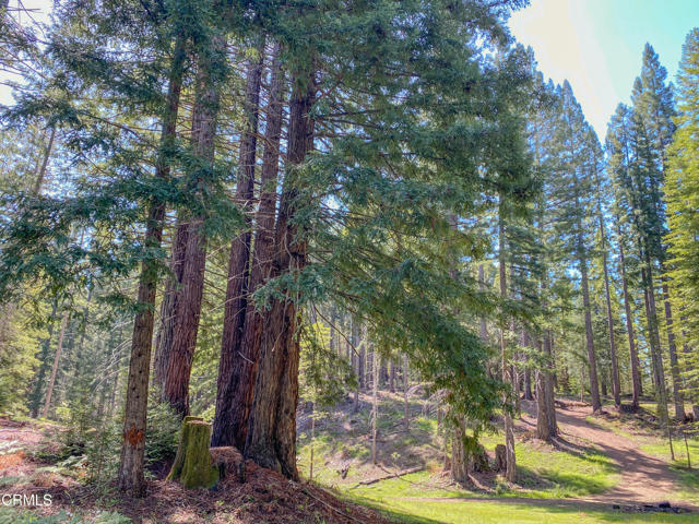 Detail Gallery Image 41 of 49 For 13740 Peregrine Rd, Boonville,  CA 95415 - – Beds | – Baths