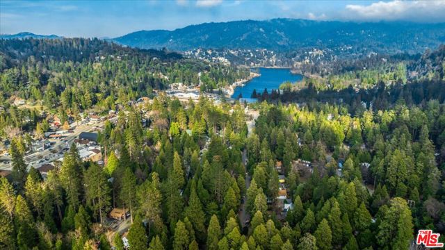 23899 Pioneer Camp Road, Crestline CA: https://media.crmls.org/mediaz/ecac369d-836d-4e98-89d8-4d054acf0cf6.jpg