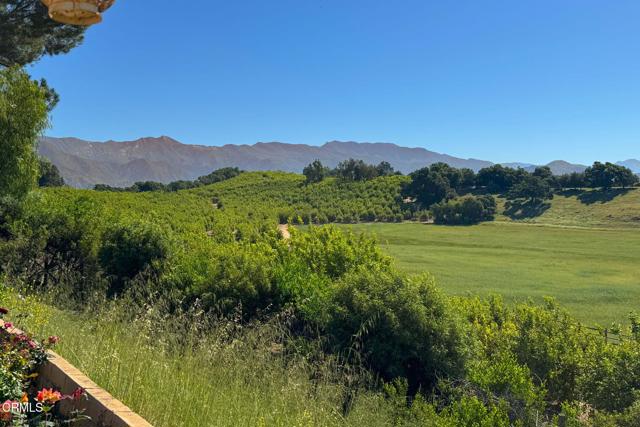 1920 Tiara Drive, Ojai CA: https://media.crmls.org/mediaz/ecacb1ba-fd81-4daf-ae2d-a1e6b6f5274f.jpg