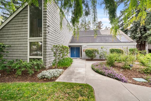1076 Roy Avenue, San Jose CA: https://media.crmls.org/mediaz/ecacf35f-f8f2-4c1e-8b5b-667caa2bb254.jpg