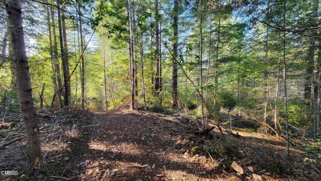 Detail Gallery Image 18 of 25 For 26030 Comptche Ukiah Rd, Comptche,  CA 95427 - – Beds | – Baths