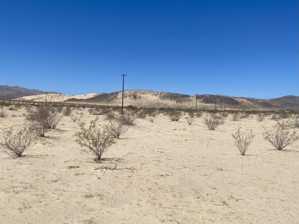 MLS #219133463PS image #29