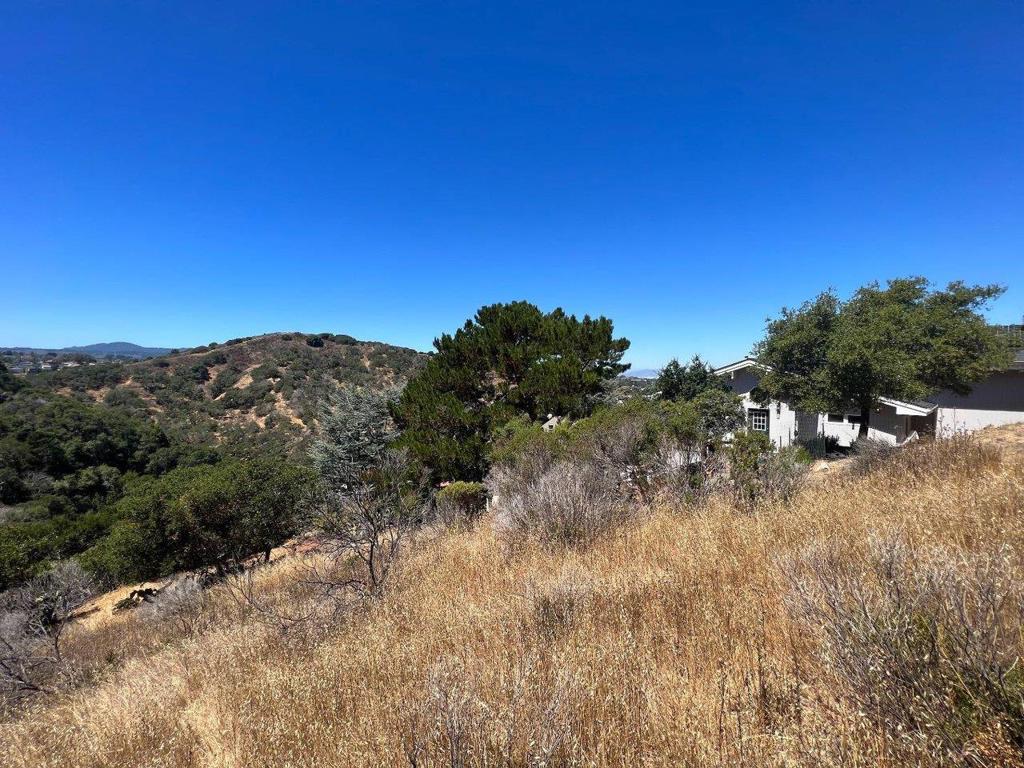 MLS #ML81991274 image #7