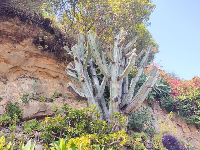 3545 The Paseo, Los Angeles CA: https://media.crmls.org/mediaz/ecccfca5-6651-4a71-bdc3-cd9b6961d587.jpg