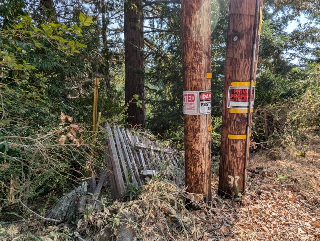 MLS #ML81963088 image #5