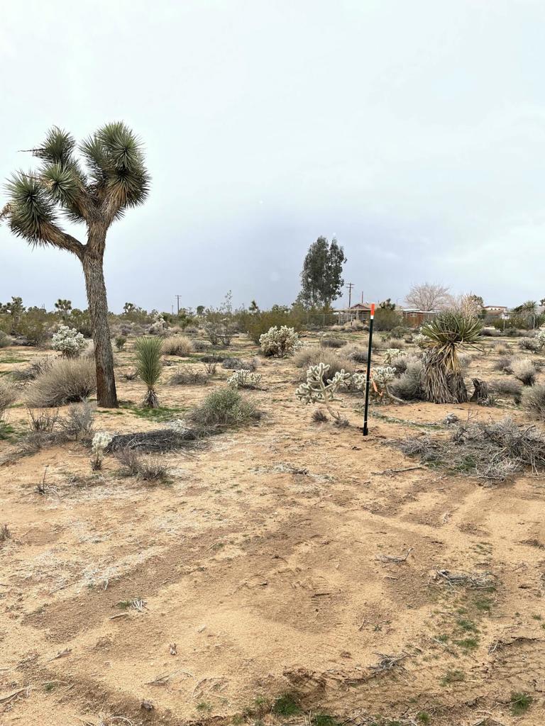MLS #219125786DA image #5