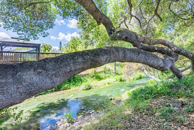 10421 Phar Lap Drive, Cupertino CA: https://media.crmls.org/mediaz/ece28113-7203-4754-a169-9d70ad2857d9.jpg
