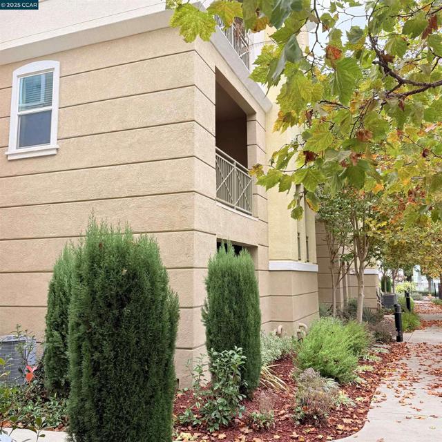 4704 Norris Canyon Rd, San Ramon CA: https://media.crmls.org/mediaz/ece439b9-7eda-4208-bc66-fd86a13737ee.jpg