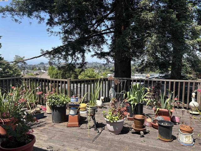 18393 Pepper St, Castro Valley CA: https://media.crmls.org/mediaz/ecead3ef-1787-458f-88f6-035af7bc6458.jpg