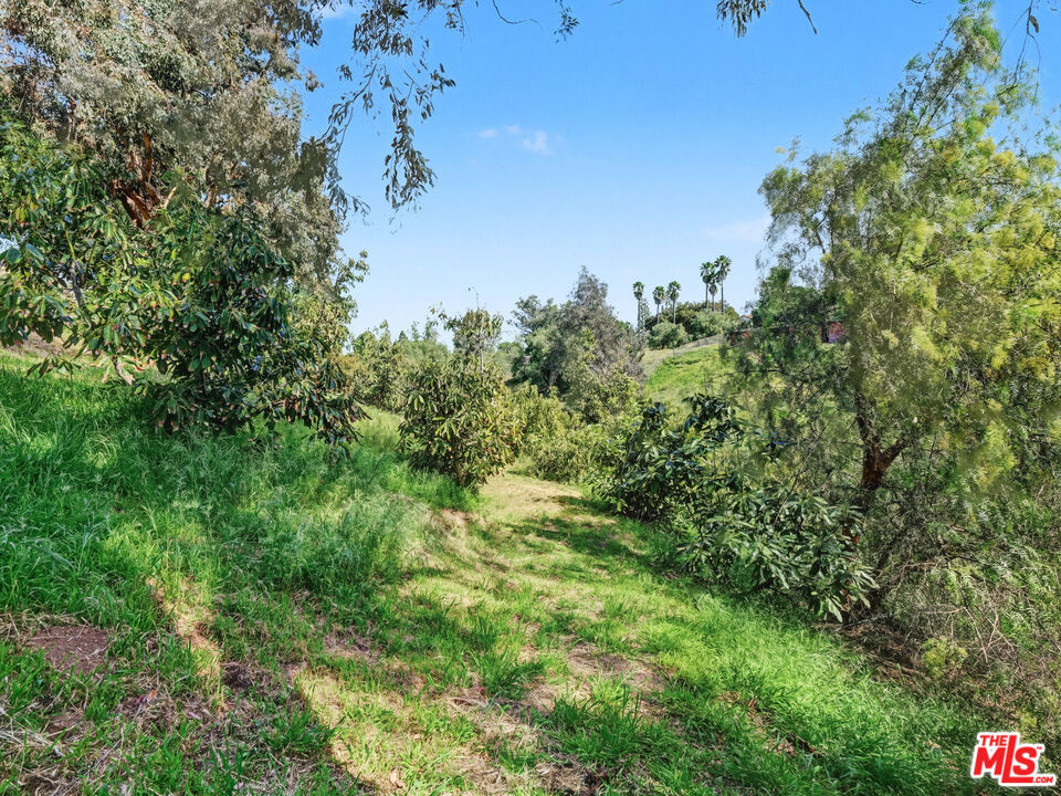https://media.crmls.org/mediaz/ecfd0398-365a-4851-8a78-ac33df66a460.jpg?preset=X-Large