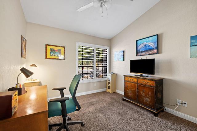 42-web-or-mls-2H8A5588