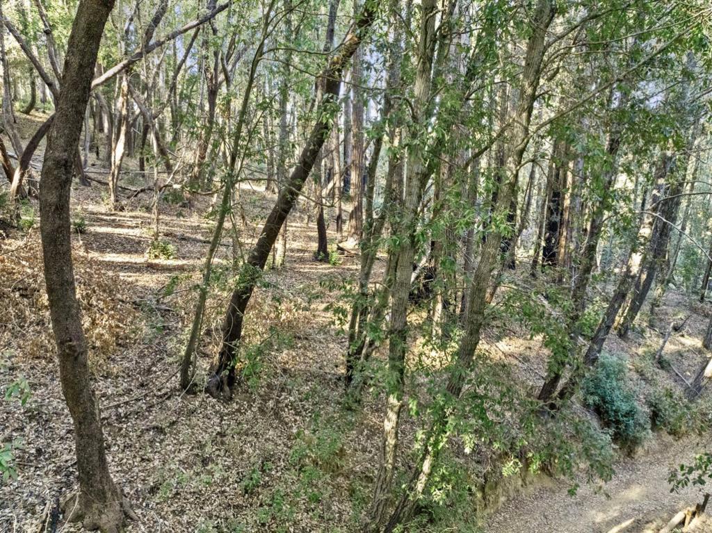 MLS #ML81986063 image #22