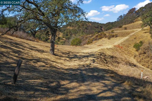 0 Monticello Rd., Lafayette CA: https://media.crmls.org/mediaz/ed0defbc-7f0d-4bf7-ba53-93508e52e9cc.jpg