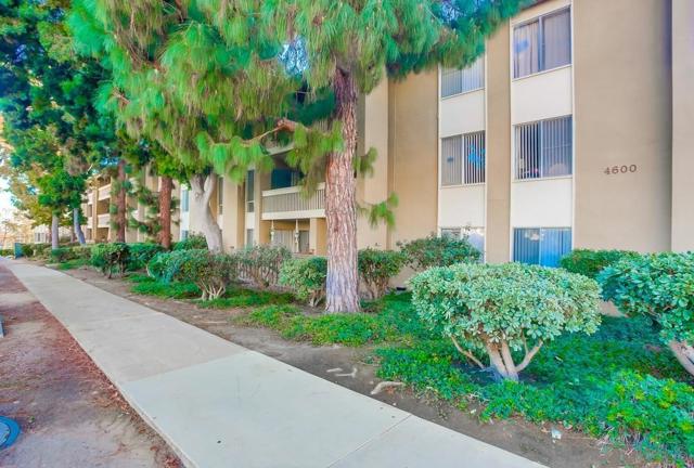 Image 41 of 44 For 4600 Lamont Street  212