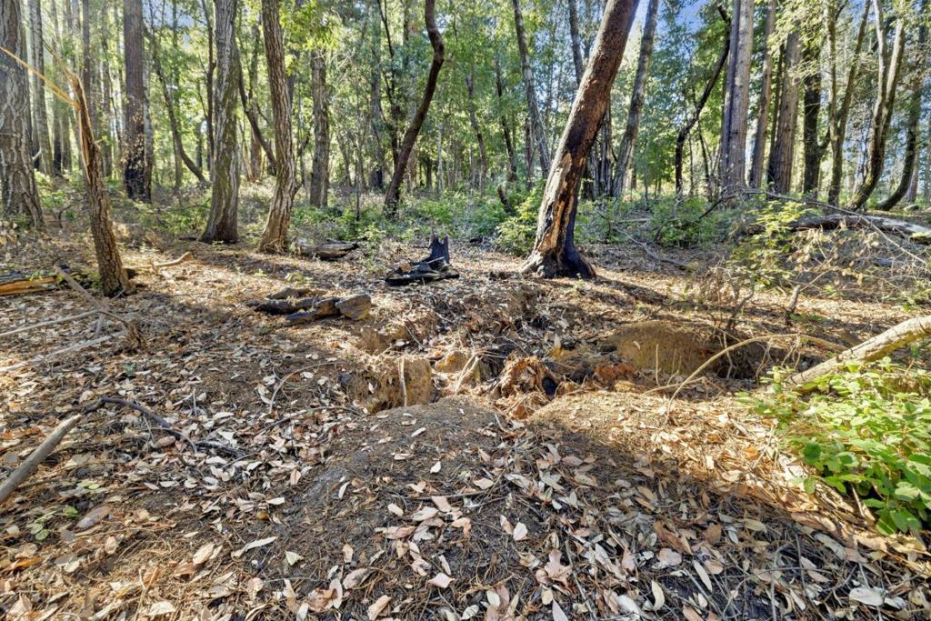 MLS #ML81986063 image #13