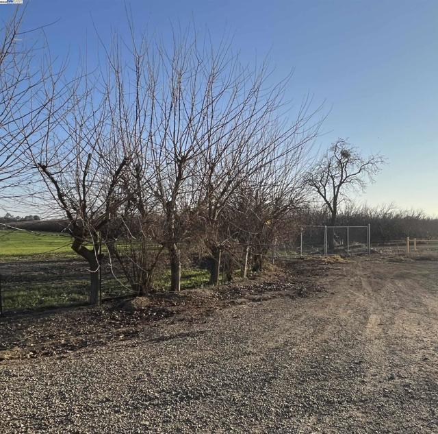 1290 Orange Ave, Patterson CA: https://media.crmls.org/mediaz/ed12d8d6-e930-4f2b-a653-45307ad25103.jpg