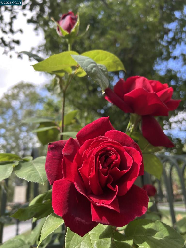 https://media.crmls.org/mediaz/ed12f9c2-7e86-4747-8fc6-9cc4f2795e1c.jpg?preset=X-Large
