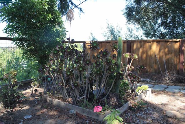 1952 Montclair Court, Walnut Creek CA: https://media.crmls.org/mediaz/ed1ecb5e-7a39-4154-8399-b113cf11816c.jpg