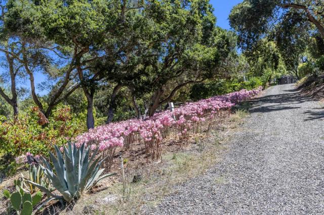 941 High Road, Woodside CA: https://media.crmls.org/mediaz/ed27079b-b781-461f-b230-ad73a22b8e4c.jpg