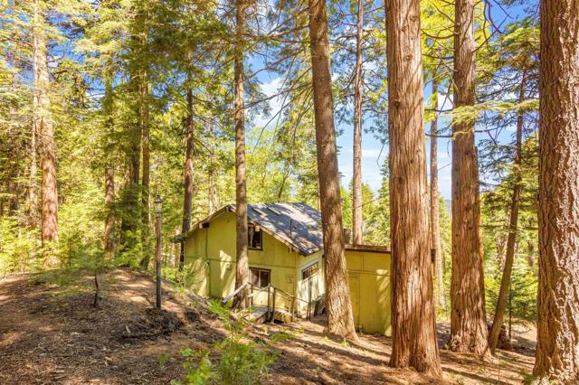 Detail Gallery Image 35 of 41 For 32765 Birch Hill Rd, Palomar Mountain,  CA 92060 - 3 Beds | 2 Baths