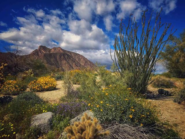 Image 6 of 7 For 0 Palm Canyon Dr.