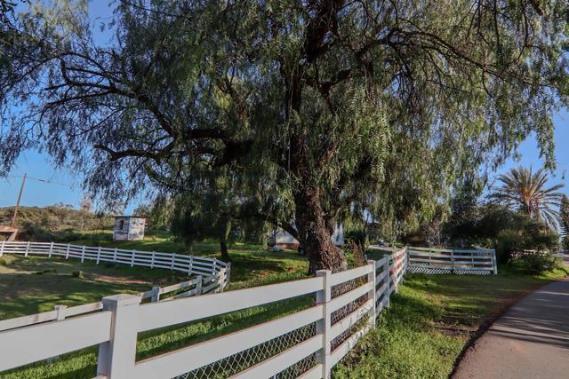 1663 Alpine Terrace Rd, Alpine CA: https://media.crmls.org/mediaz/ed347794-1a63-4e03-84ee-6f3cb40eb677.jpg