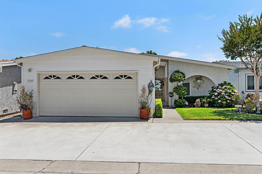 3729 Clove Way
