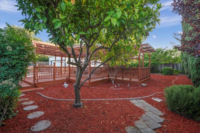 14837 Donner Drive, San Jose CA: https://media.crmls.org/mediaz/ed3dd410-834f-4b71-bd26-bf9856bbc139.jpg