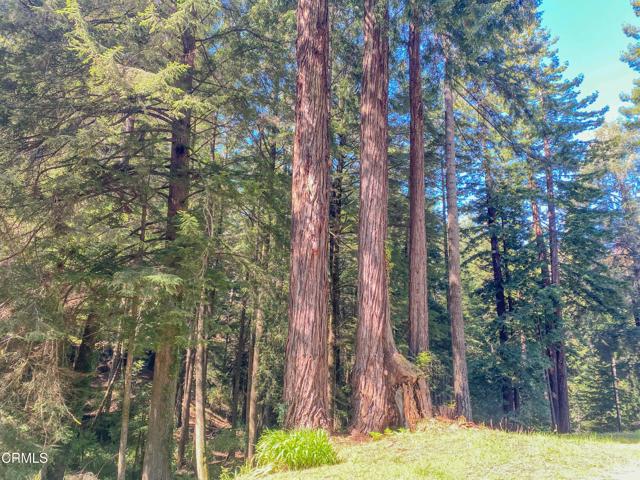 15137 Mitchell Creek Drive, Fort Bragg CA: https://media.crmls.org/mediaz/ed47e619-5632-40eb-8427-81c0a83d4771.jpg